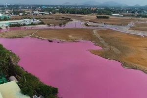 Bà Rịa-Vũng Tàu: Xử lý doanh nghiệp xả thải ra đầm nước 