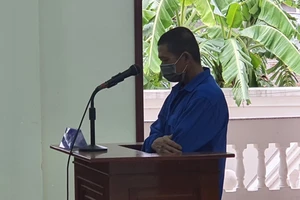 Lãnh 7 năm tù vì cưa trộm 24 cây hoa giấy ở Vũng Tàu