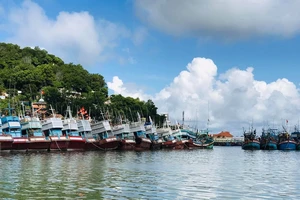 Bà Rịa- Vũng Tàu: Các tàu cá tạm dừng ra biển đánh bắt từ 26-8