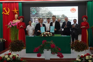 Công ty của Chi Bảo thuê 120 ha môi trường rừng tại Côn Đảo