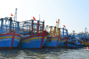 Bà Rịa - Vũng Tàu chỉ đạo làm rõ 4 tàu cá bị giữ khi đánh bắt ở vùng biển nước ngoài