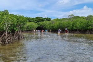 Vườn Quốc gia Côn Đảo nhận giấy chứng nhận Vườn Di sản ASEAN