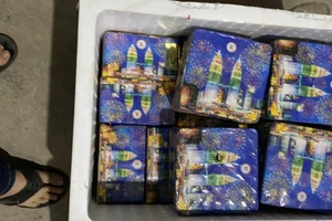 Phát hiện 1 người dân giấu 262 bệ pháo hoa nổ Trung Quốc trong nhà