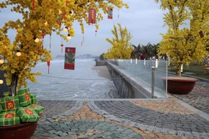 Khung cảnh Tết xưa được tái hiện ở Phố Ông Đồ tại TP Vũng Tàu