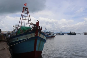 5 tàu cá được 'phù phép' hồ sơ, Nhà nước thiệt hại hơn 35 tỉ đồng