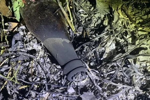 Dùng bom xăng đốt rừng cao su để câu like 