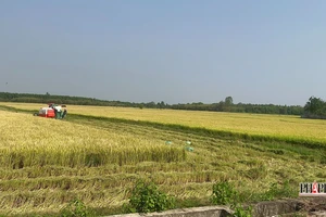 Bà Rịa chi trả xong tiền bồi thường dự án cao tốc Biên Hòa-Vũng Tàu