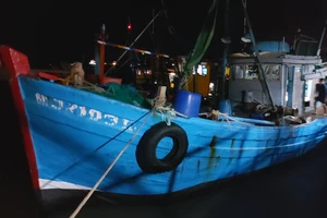 Bà Rịa-Vũng Tàu: Xử phạt hành chính 5 tàu cá vi phạm nhiều lỗi