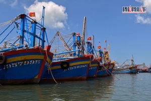 Bà Rịa-Vũng Tàu: Chuyển công an điều tra 1 tàu cá hoán cải có dấu hiệu vi phạm