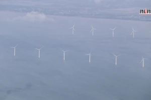 Bà Rịa-Vũng Tàu kiến nghị hỗ trợ để sớm có các dự án điện gió ngoài khơi