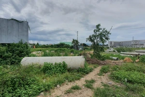 Bà Rịa-Vũng Tàu: Kiểm tra một số dự án kéo dài thời gian bố trí vốn