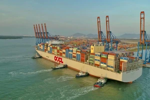 Bà Rịa-Vũng Tàu thoái hết vốn nhà nước tại 7 doanh nghiệp trong giai đoạn 2022-2025