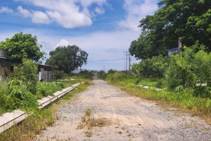 Bà Rịa - Vũng Tàu chỉ rõ nguyên nhân khiến 74 dự án chậm tiến độ