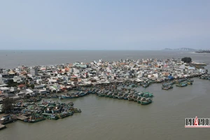 Bà Rịa-Vũng Tàu xử nghiêm tàu cá neo đậu, xuống hàng tại bến tự phát