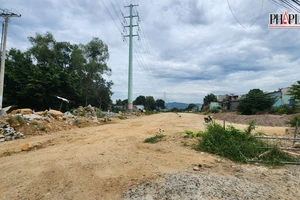 Xin chuyển 2ha đất rừng tự nhiên để làm đường Long Sơn - Cái Mép