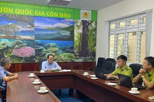 Côn Đảo xử phạt 1 người dân rào lưới B40 lấn chiếm rừng