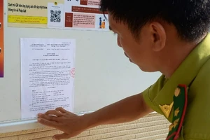 Kiểm lâm Côn Đảo đề nghị xác minh thu nhập người bị phạt 137 triệu đồng