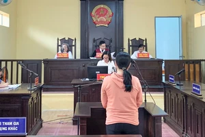 Câu trộm điện, một phụ nữ bị phạt tù 