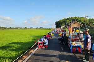 Chợ ẩm thực 'độc, lạ' giữa cánh đồng lúa bát ngát ở Bà Rịa - Vũng Tàu