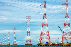 Bà Rịa- Vũng Tàu: Kiên quyết bỏ thủ tục hành chính không cần thiết, hỗ trợ nhà đầu tư làm dự án điện