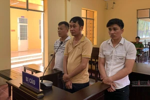 Bà Rịa- Vũng Tàu: 3 công nhân bị phạt tù vì sử dụng giấy chứng nhận nghỉ việc hưởng BHXH giả