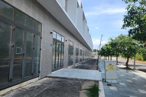 Bà Rịa- Vũng Tàu: Phạt 1 công ty chuyển mục đích sử dụng đất sai quy định 