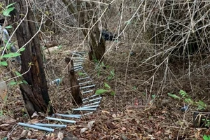 Từ chiếc xe taxi, truy tìm ra vụ án cô gái bị sát hại, giấu xác trong vali ở Vũng Tàu