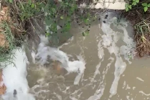 Bà Rịa- Vũng Tàu phạt 1 công ty 513 triệu đồng vì xả nước thải vượt quy chuẩn