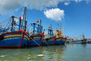 Đề xuất phạt 1 thuyền trưởng 250 triệu vì tàu cá 4 lần mất tín hiệu kết nối 