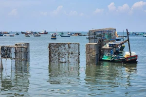Vũng Tàu: Các hộ đang di dời lồng nuôi tôm hùm khỏi khu vực Bãi Trước