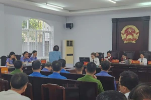 Tòa tạm dừng xét xử với một bị cáo là chủ doanh nghiệp để trưng cầu giám định tâm thần 