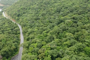 Nhiều giải pháp về công nghệ ở 5 nhóm ngành để đạt mục tiêu Net Zero