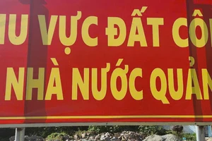 Truy tố 17 bị can vụ làm giả giấy tờ, biến 25ha đất công thành đất tư