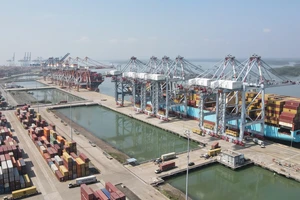 Bà Rịa - Vũng Tàu: Một số ngành kinh tế đạt mức tăng trưởng cao trong quý I-2025