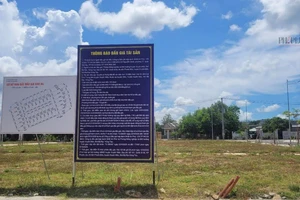 Bà Rịa - Vũng Tàu: Đấu giá thành công 84 lô đất công ở huyện Xuyên Mộc, thu hơn 123 tỉ đồng