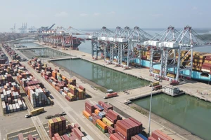 TP.HCM tập trung phát triển chuỗi logistics cảng biển thông minh