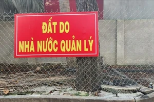 TP.HCM: Đảng ủy phường Vũng Tàu có chỉ đạo ‘nóng’ về quản lý quỹ đất công