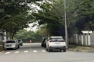 Người dân chụp ảnh gửi CSGT, nữ tài xế bị phạt vì đỗ xe ô tô chắn lối đi bộ