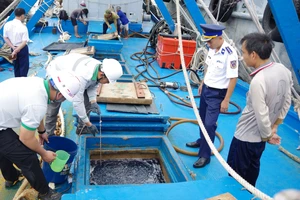Cảnh sát biển bắt giữ tàu cá chở 100.000 lít dầu DO không có hoá đơn
