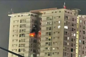 Kịp thời dập đám cháy chung cư ở phường Rạch Dừa