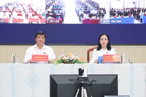 Cử tri TP.HCM kiến nghị đẩy nhanh tiến độ cấp sổ đỏ, tạo thêm việc làm cho thanh niên