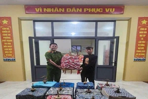 Trộm 11 con chim trị giá 100 triệu đồng vào mùng 3 Tết