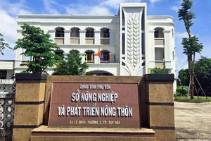 Một sở ở Phú Yên có 118 người xin nghỉ hưu trước tuổi, thôi việc