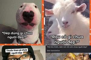 'Cơm nước gì chưa người đẹp?': Câu nói hot trend mở màn 2025