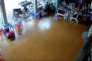 Động đất 5.0 ở Điện Biên