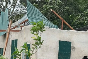 Quảng Trị: Bão số 3 làm sập 1 căn nhà, 23 căn tốc mái