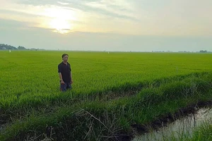 VKSND Cấp cao tại TP.HCM kháng nghị vụ án kéo dài 17 năm