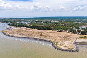 Hài hòa với Cần Giờ khi phát triển kinh tế biển TP.HCM