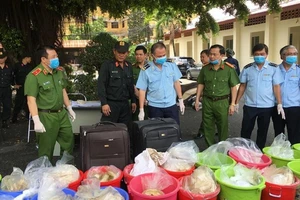 Tổng hợp thực tiễn xét xử các tội phạm về ma túy