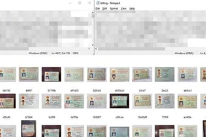 Vụ rao bán hàng ngàn CMND: Ai có thể bị xử lý?